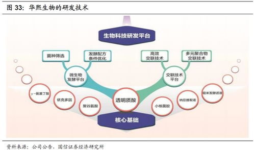 化妝品行業2020年投資展望 產品先行，流量催化，資本助力
